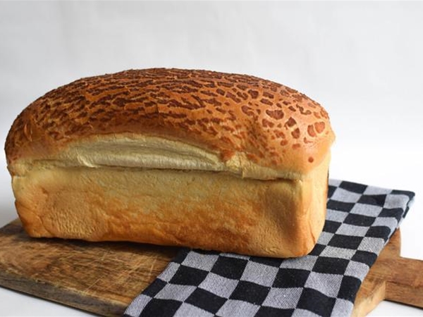 WITBROOD TIJGER =1
