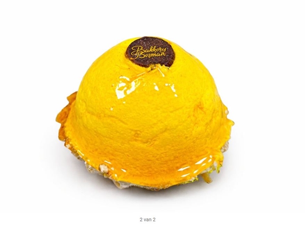 Cocos mangogebak (vegan)